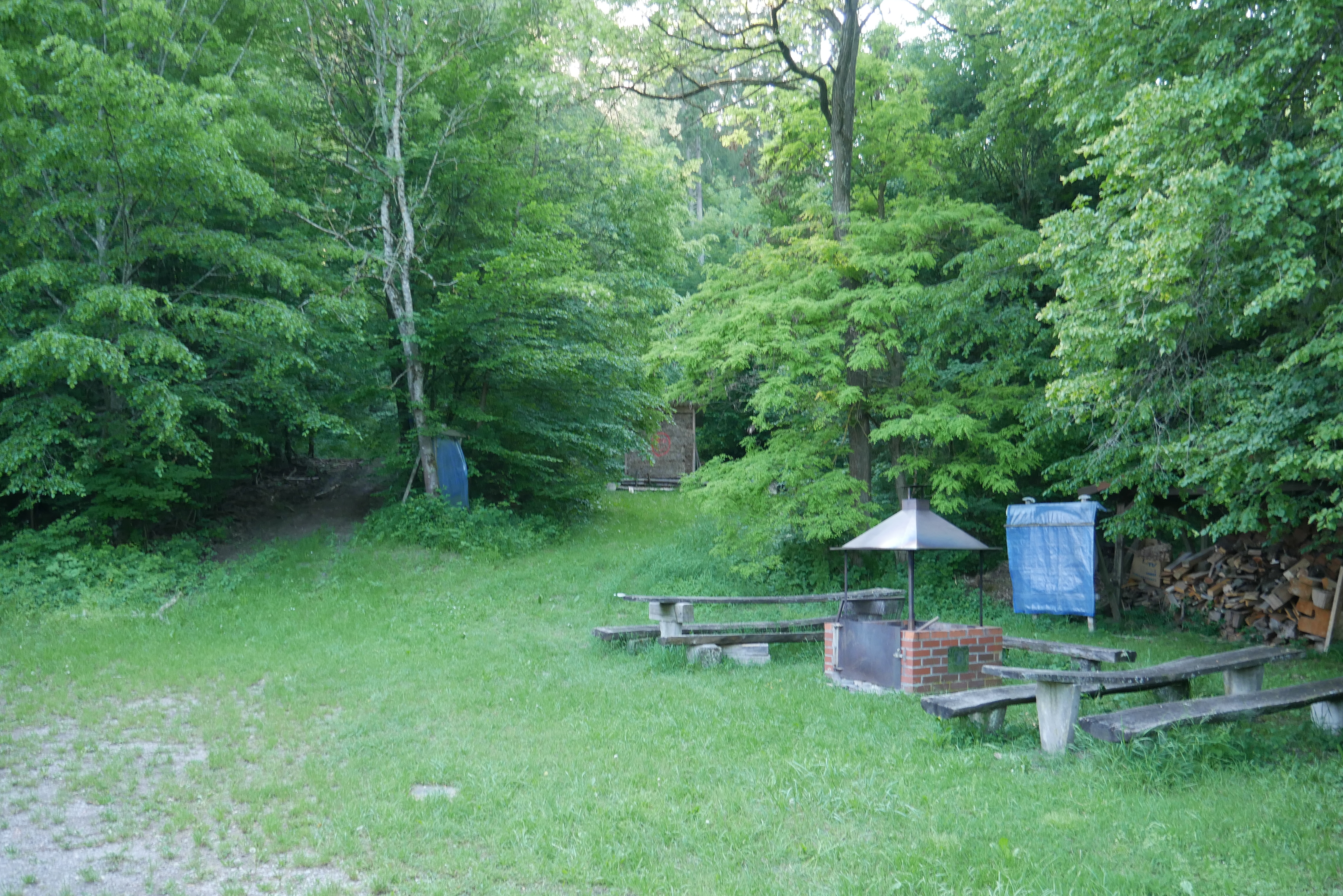 Blick in die Luftgewehrhalle