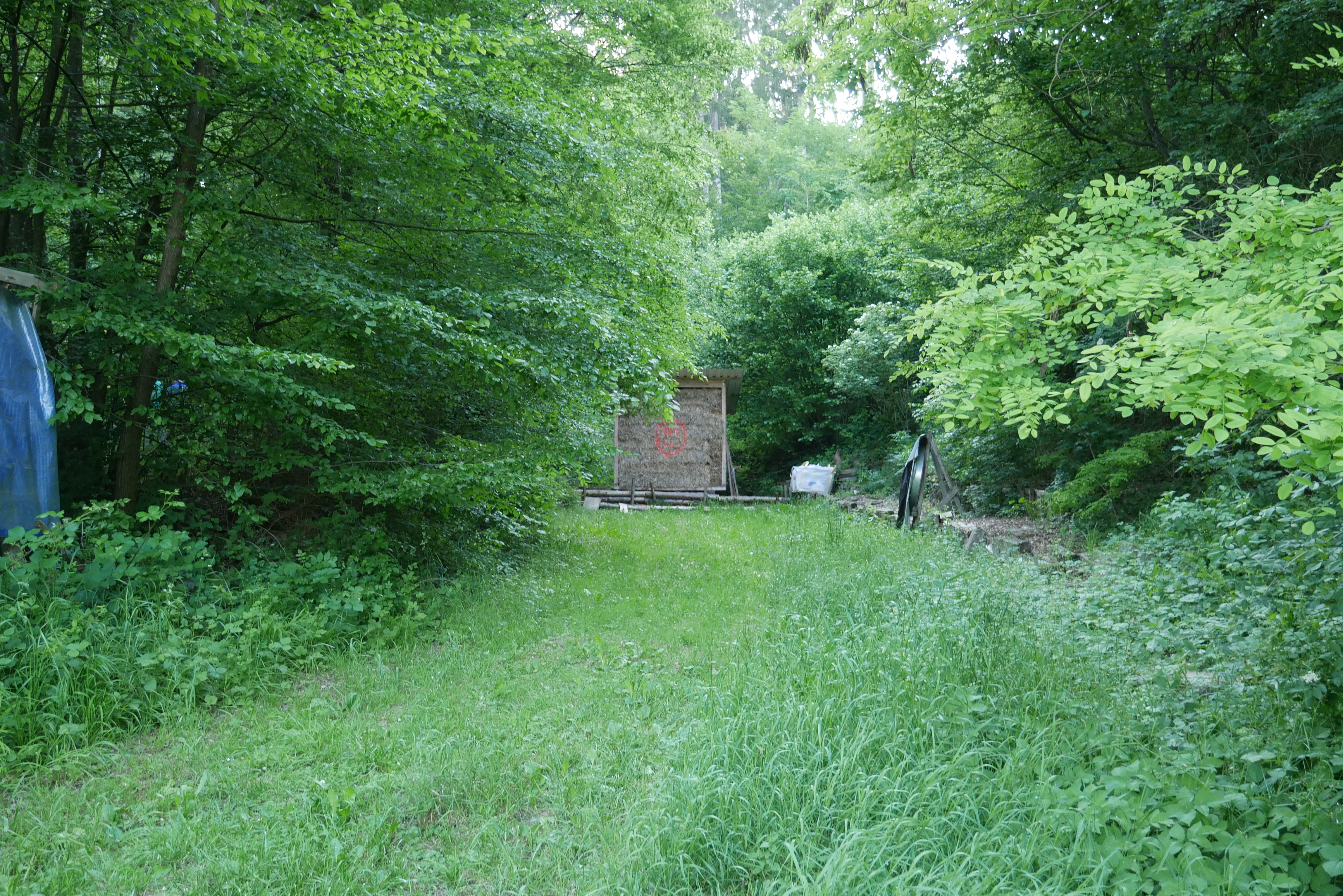 Blick auf die Luftgewehrhalle mit Bogenanlage