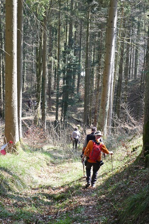 Morgensonne am Gardasee