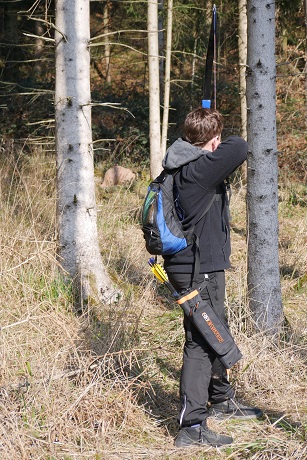 Morgensonne am Gardasee