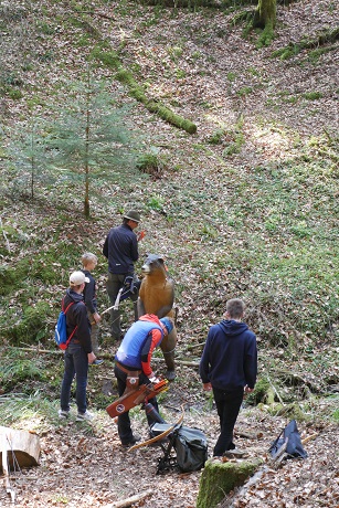 Morgensonne am Gardasee